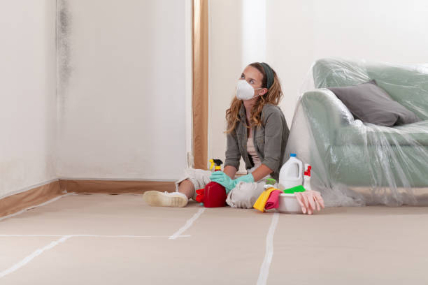 Reliable Mold Remediation contractor in Deer Park, WA by Cheap Mold Removal